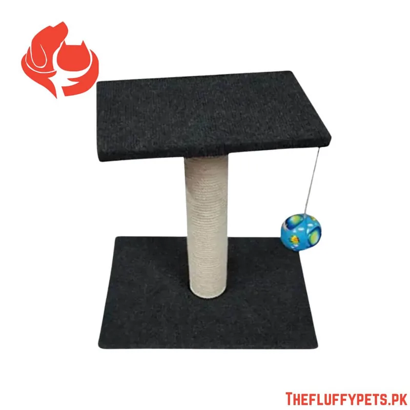 Cat Scratching Post (Single Top)
